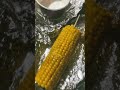 The shiny corn