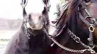 Palle introducing Jens, p1