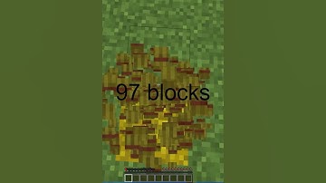 Fall in blocks from height #minecraft #fall #bed #hay