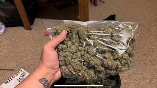 Humboldt and cookies harvest