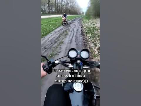 мустанг фіт - YouTube