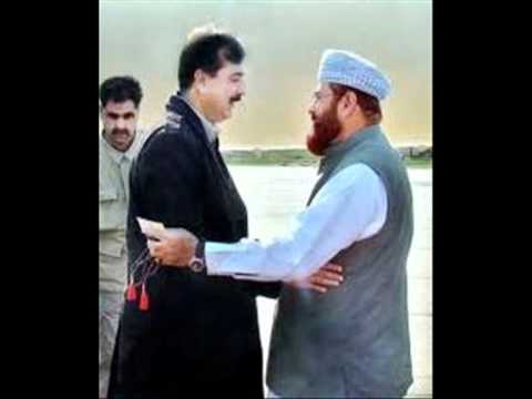 D Gillani Photo 5