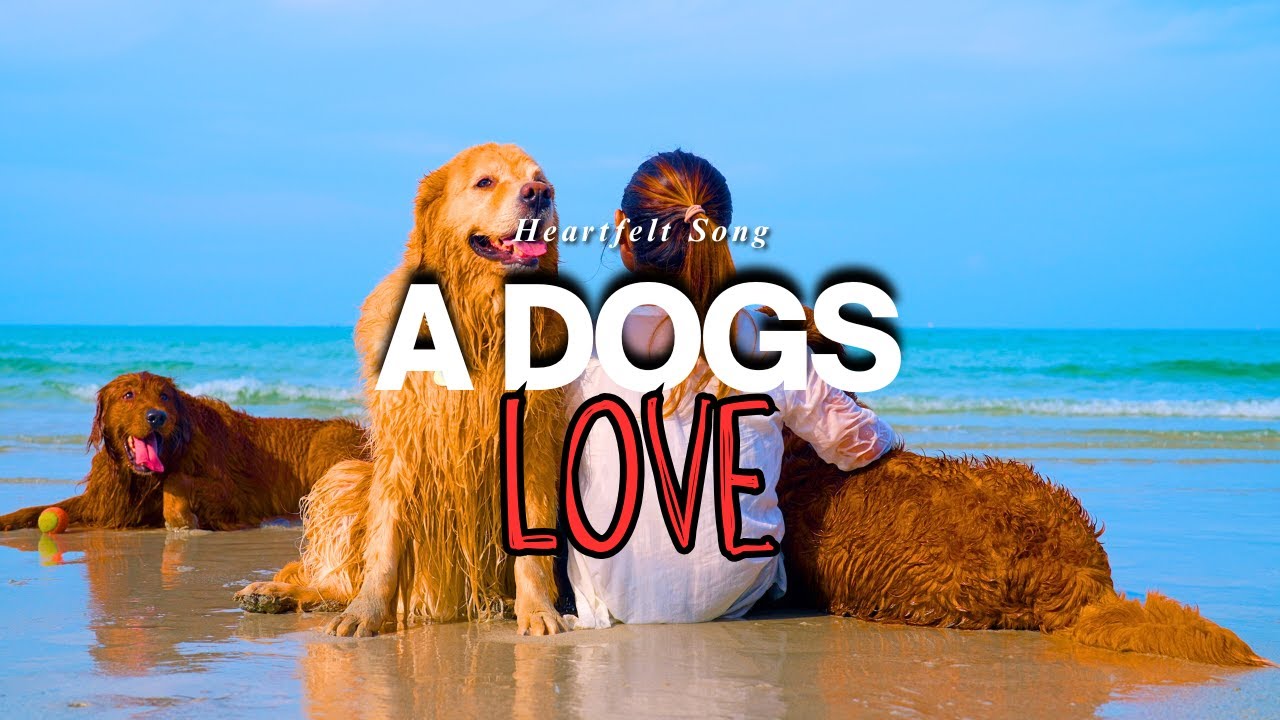 How My Dog Changed My Life Forever 🐾 | Emotional Song About Unconditional Love & Loss