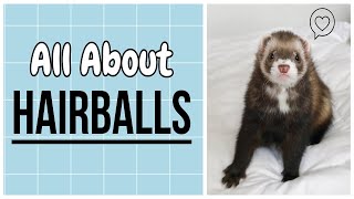 HAIRBALLS: Silent Ferret Killer