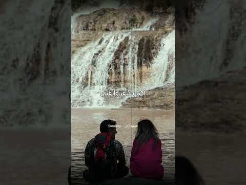 طاير بحبك طاير فرقة وتر    تصميم حالات واتس اغاني حب طرب طرب اصيل 