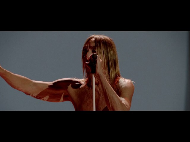 Iggy Pop - American Valhalla class=