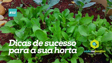 O que fazer para minha horta ficar bonita?