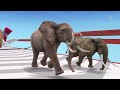 Prehistoric Mammals vs Wild Animals Speed Race Run Zigzag Down Course! Which is the Fastest? ARBS