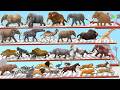 Prehistoric Mammals vs Wild Animals Speed Race Run Zigzag Down Course! Which is the Fastest? ARBS