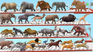 Prehistoric Mammals vs Wild Animals Speed Race Run Zigzag Down Course! Which is the Fastest? ARBS screenshot 3