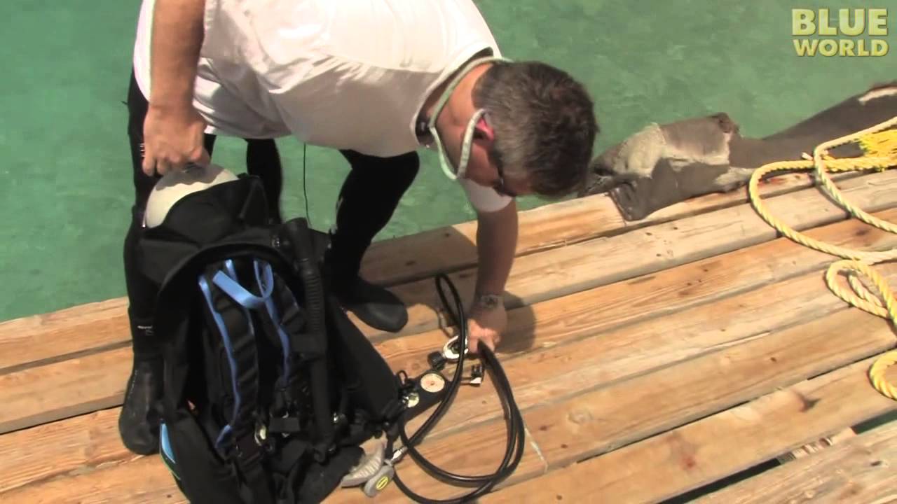 Scuba Buoyancy Compensator BLUE WORLD TOOLS OF THE TRADE YouTube