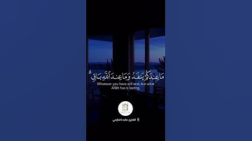 تلاوة خاشعة للقارئ ماجد الحازمي