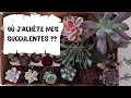 Achats de succulentes  et de pots