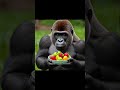 Gorilla pani kyo nahi pite #shorts #shortsvideo #viralshorts #amazingfacts