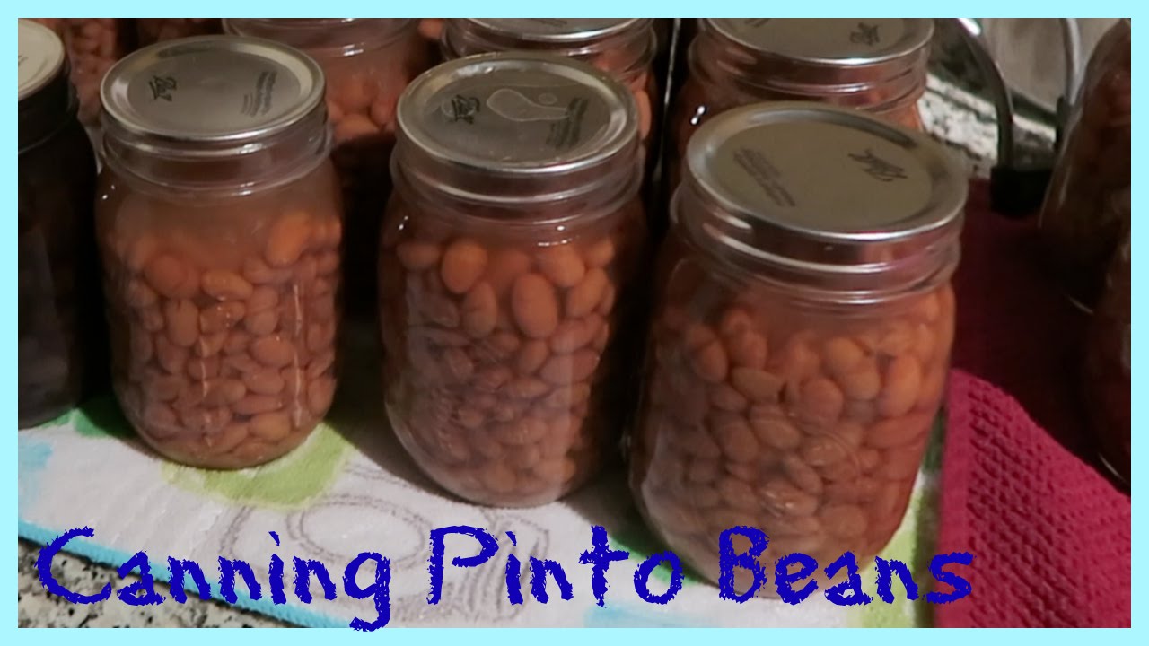 CANNED PINTO BEANS YouTube