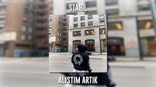 Stabil - Alıştım Artık (Speed Up) Resimi