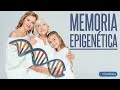 La Memoria Epigenética ¿es capaz de reconfigurar nuestro ADN?