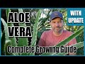 Aloe Vera, Complete Growing Guide - With 3 Month Update