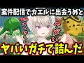 案件配信でも天敵のカエルに出会ってしまい絶叫する小森めと【ぶいすぽ/切り抜き/七つの大罪Origin】