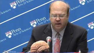 It's Not a Dream It's a Memory: The Role of Sleep in Memory Storage