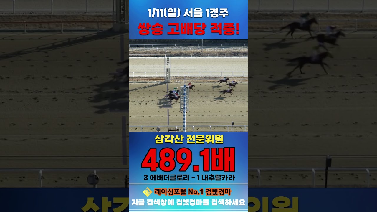 [서울 경마] 1월 11일 일요 1경주 삼각산 전문위원 쌍승 고배당 적중 #경마 #horse #하이라이트 #automobile #한국마사회 #horseriding #게임 #뉴스