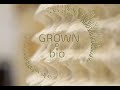 Mycelium material: Growing with mycelium