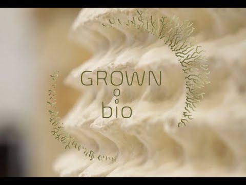 Video: Mycelium Rising: Pendidikan Sebenar Untuk Abad Ke-21 - Matador Network