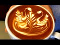 IKECCI'S Latte Art "a brace of swan" ラテアート 2015.5.10
