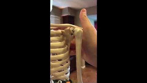 Week 3 Lab Video (1)