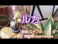 【ルカ/浅香唯】AG弾き語りYAMA#FG850