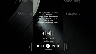 Melike Şahin - Pusulam Rüzgar Resimi