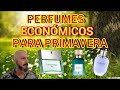 Fragancias ECÓNOMICAS Para USAR en PRIMAVERA👉👉 Selección Perfumes baratos