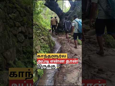 காந்தளூர்-ல அப்டி என்னதான் இருக்கு