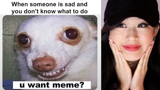 Funny Memes To Cheer You Up - Youtube