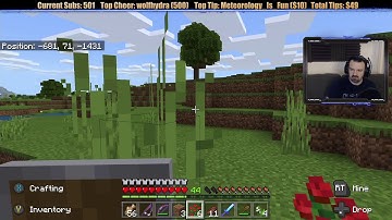 Minecraft "Chill Stream" June 24, 2019 pt2 - A Beautiful Path and the Trip Home