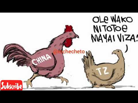 Video: Chungu Kilichoachwa Kabisa