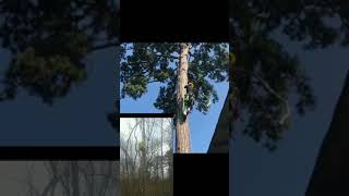 How to I used to climb with Blake's hitch to now with SRT