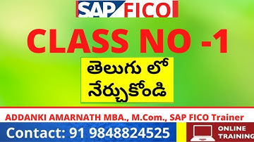 Automatic Payment Program in SAP FICO - SAP FICO - తెలుగులో SAP FICO డెమో