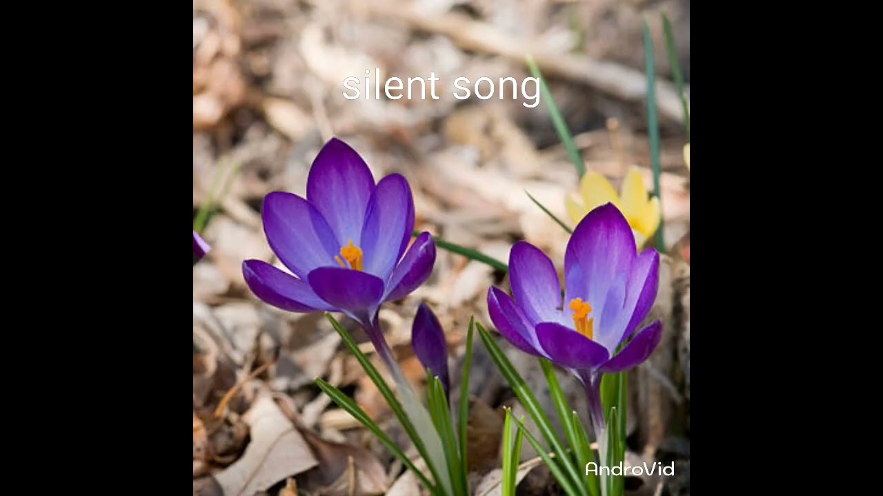 musicmp3 juicesongnew songssad song copyright free music.