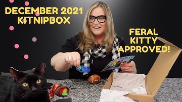 KitNipBox December 2021 Unboxing and Review with a feral cat