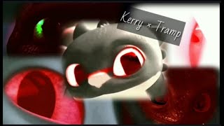 Kerry × Tramp || Sad Song (807 Subs) ~ Memorial Video
