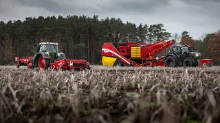 Pure Leistung: GRIMME WH 200 & EVO 280 | #RowShow2021