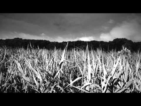 百合花 - 哪裡去 [DEMO]