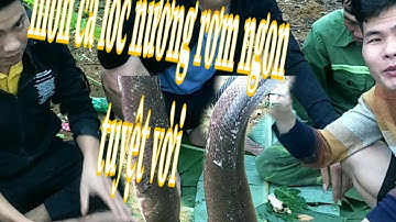 Ẩm thực vùng quê Nam OK.món cá lóc nướng rơm ngon tuyệt vời luôn