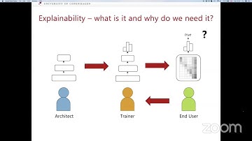 Practical Talk 1: Explainability for NLP (Isabelle Augenstein)