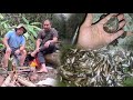 Fishing adventure and cooking delicious  jungle food with kents350