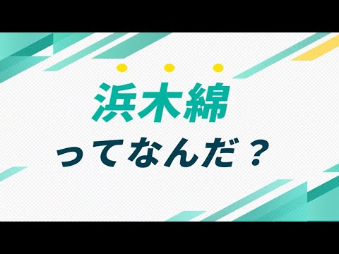 社長登壇！？　浜木綿の実態について【インタツアー×浜木綿】