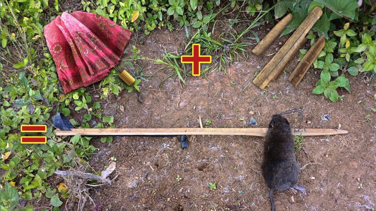 Гениальные идеи‼️ Мышеловка своими руками из использованных зонтов