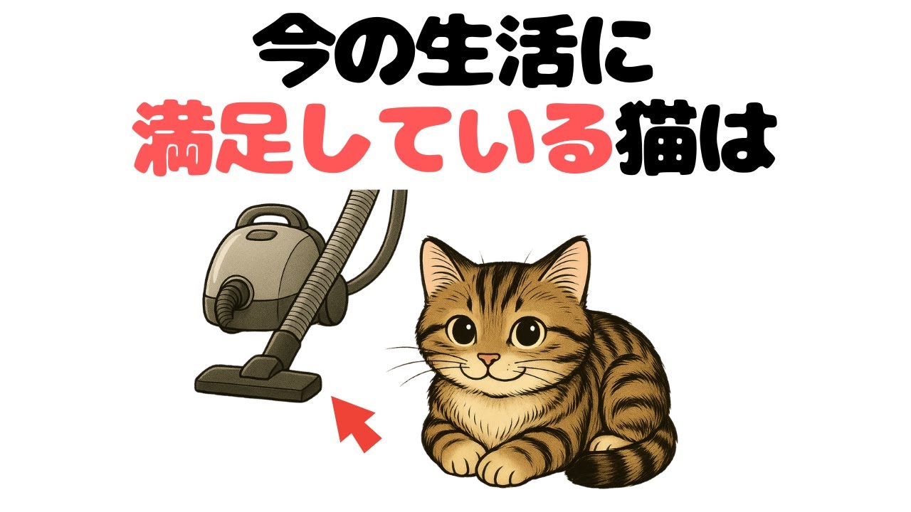 猫の雑学‼【猫の幸福度がわかる】満足している猫だけが見せる10のサイン