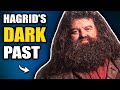 History of Rubeus Hagrid (+His Life after the War)